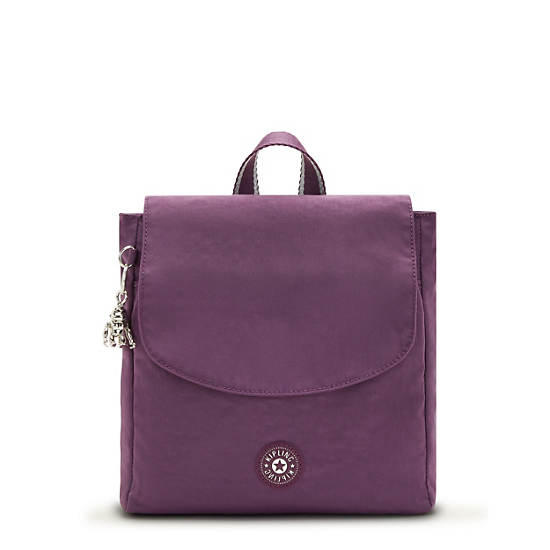 Sacs À Dos Kipling Dannie Small Violette | FR 1666CT